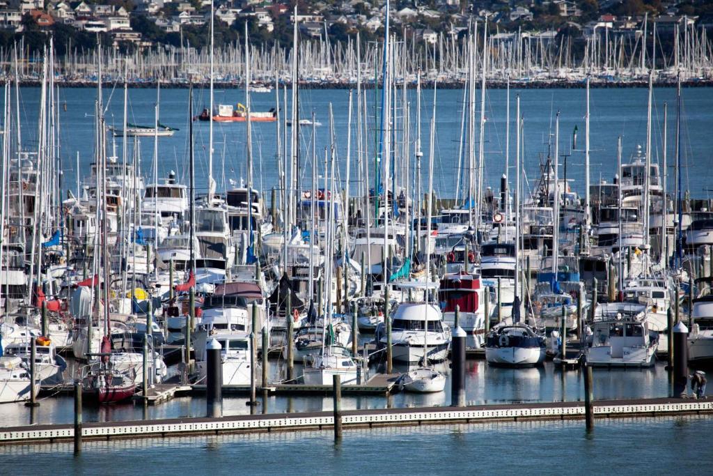 Vr Takapuna Auckland Ngoại thất bức ảnh The marina at Shelter Cove